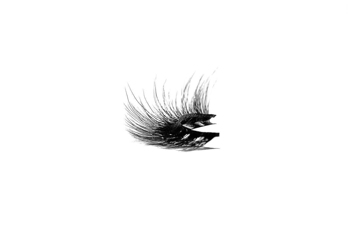 Butterfly Strip Lashes