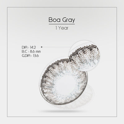 BOA GRAY - Aux Angels