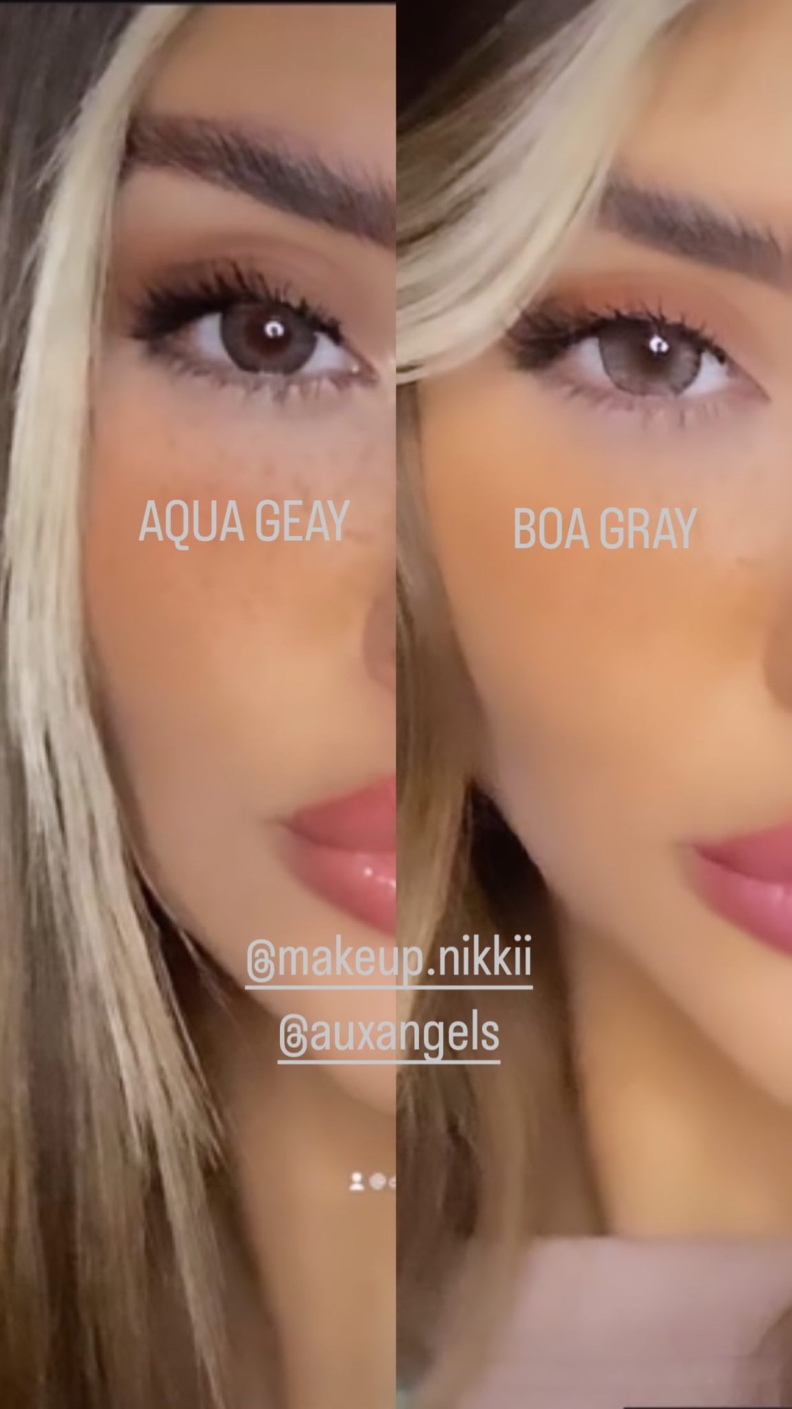 BOA GRAY